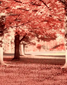 5x7ft Красные листья Дерево Фотография Фоны Фото Реквизит Студия Фон