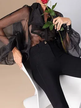 Женское сетчатое прозрачное боди Однотонный длинный пышный рукав с лацканом Купальник с оборками Купальники Блузки Рубашка